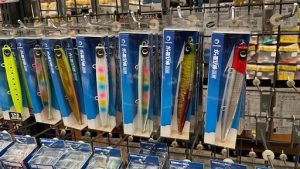 今年のサーフシーズンに！