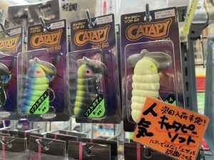 進化して帰ってきたキャタピーソフト