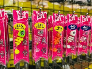骨が入荷