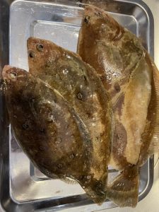 人生初のオフショア！