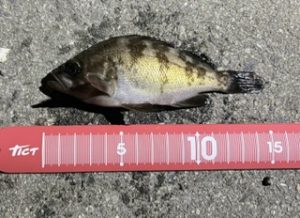 福島でバトル🎣