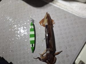 スルメイカ釣りⅣ