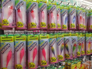 スクイッシュ入荷!!
