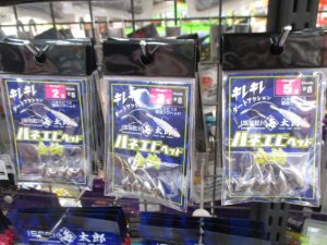 ハネエビ入荷