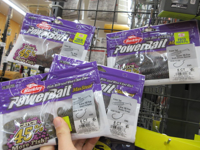 ﾊﾟﾙｽﾃｰﾙ