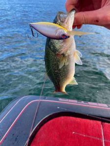 琵琶湖バスフィッシングガイド釣果！