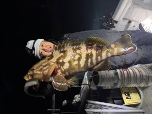 ボートロック＆青物ジギング行ってきました！！