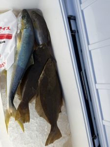 タックルベリーこまつ店】BBふくい店間もなくリニューアル＆釣行記！！