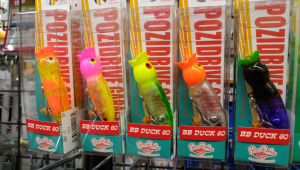 【新入荷】見た目はアヒル、実力は本物！ポジドライブガレージ「BBダック60」入荷！