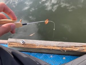 鳴沢湖へワカサギ釣りに行ってきました！【6】