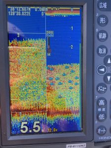 近藤沼へワカサギ釣りに行ってきました！【3】