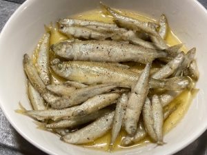 赤城大沼へ氷上ワカサギ釣りに行ってきました！【10】