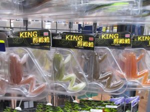 【池袋東店】新品バスワーム入荷！KING房総蛙/エンジン、ヴェルメ/エンジン、サカマタシャッドREAL/デプス