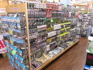 春めいて来ました！！！