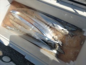 非常ォォォ～に厳しかったんですが面白かった…