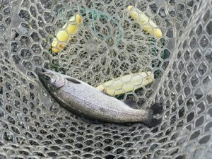 船が欠航になり、急遽アルクスポンド焼津に！