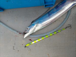 行ってきました！浜松「釣華丸さん」♪