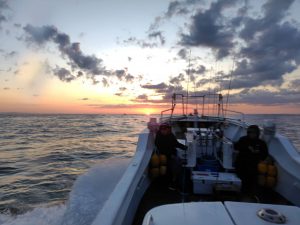 やりきって来ました…