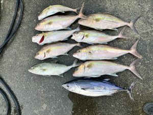 手前味噌ですが…　Part2！