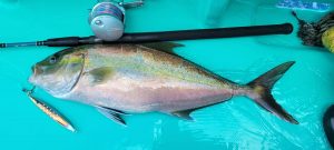 またまたまた…