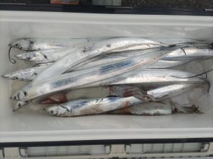 12/18（木）小川港「橋安丸さん」に乗って…　PART２！