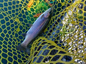 年末のアルクスポンド焼津に・・・