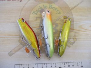 久しぶりに良いブツが…