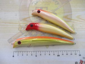 この子達、知ってます？？？