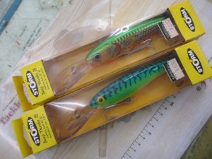 もしかしてレア？？？