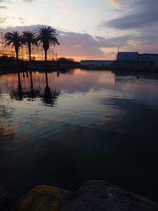 2週連続のアルクスポンド焼津へ！！