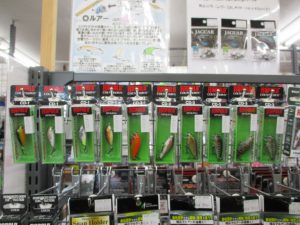 小春日和な陽気！！