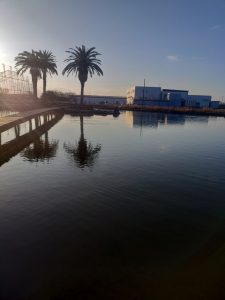 三寒四温かな！？