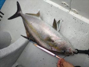 土肥港「第18とび島丸さんで行く銭洲ジギングツアー」パート2