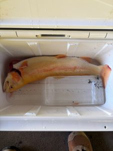 お客様より釣果情報頂きました！