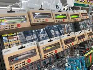 レガリア入荷