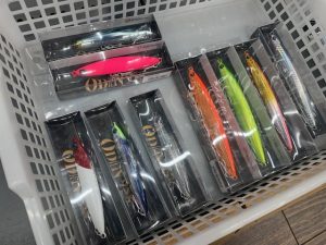 オーディン入荷しました♪