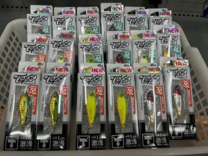 ツクモ入荷しました！！