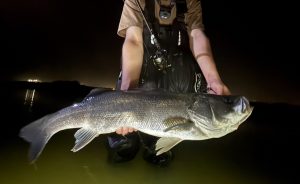 【爆釣】恵みの雨