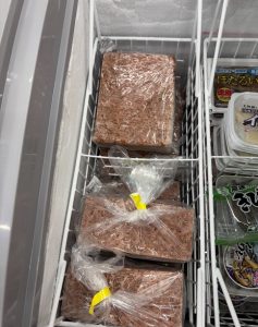 エサ釣り用品入荷！