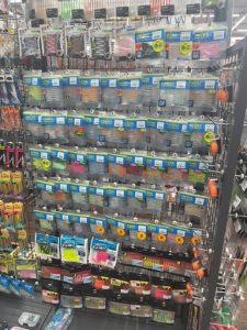 もはや通年釣れますよね