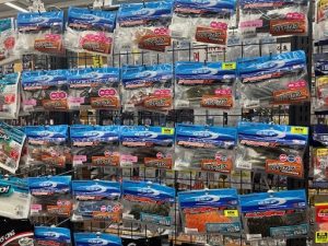 ロックフィッシュのご準備を！