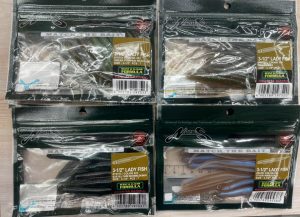 レディフィッシュ入荷!!