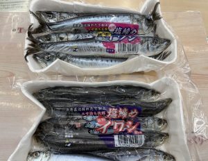 新しい冷凍エサが入荷！