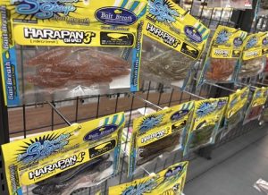 ロックに！フラットに！