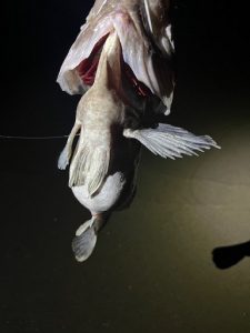久々でしたが…