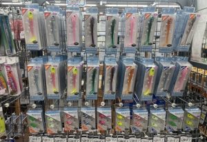 サリュー入荷!!