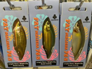 ファットマリエラ入荷！