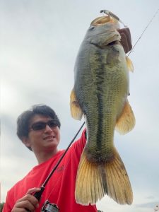 ミドストサイトで🐟