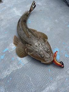 海釣り