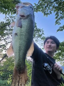 回復してきているサカナ